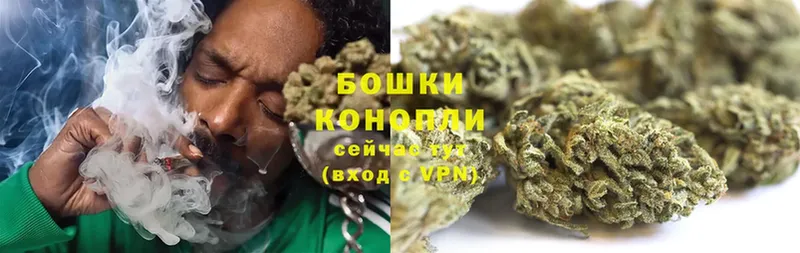 Шишки марихуана THC 21%  Болохово 